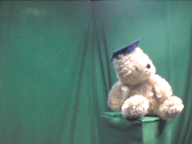 135 Degrees _ Picture 9 _ Light Brown Teddy Bear Wearing Blue Graduation Cap.png
